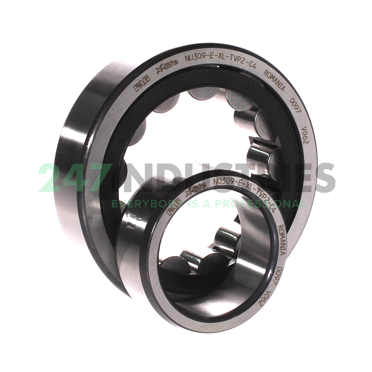 NU309-E-XL-TVP2-C4 FAG Image 3