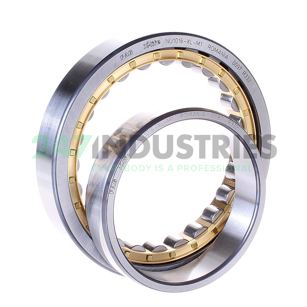 NU1016-XL-M1 FAG Image 2