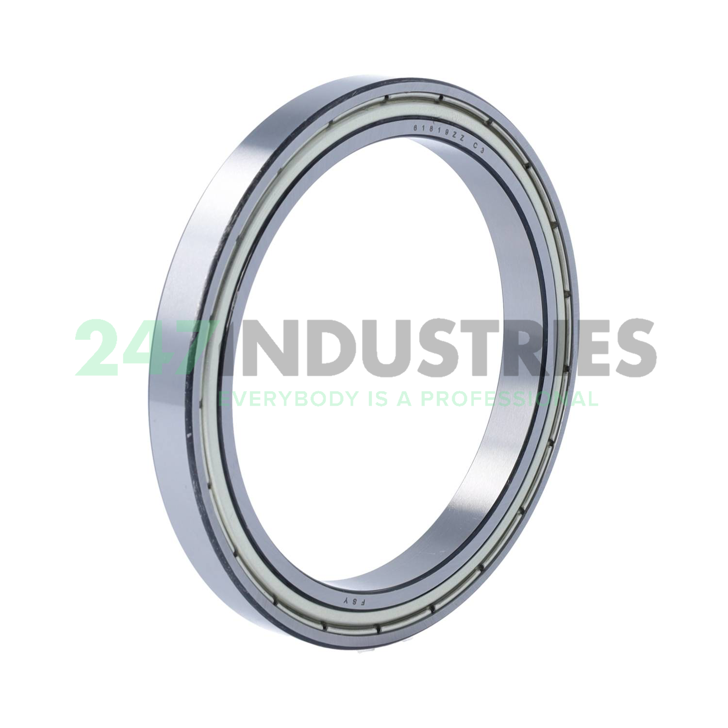 61819ZZ C3 FSY Image 1