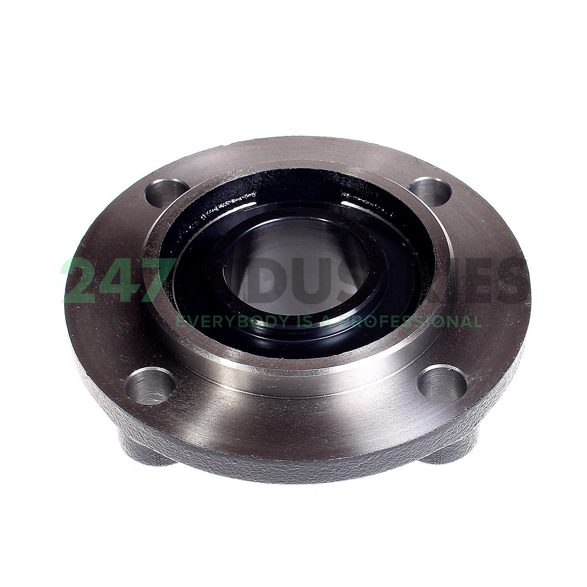 UCFC210-J7 FAG Image 3