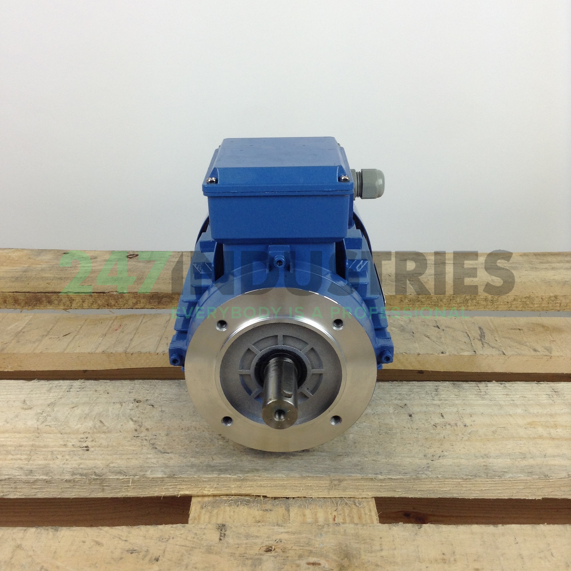 MS90L-4B14 Gibbons Image 4