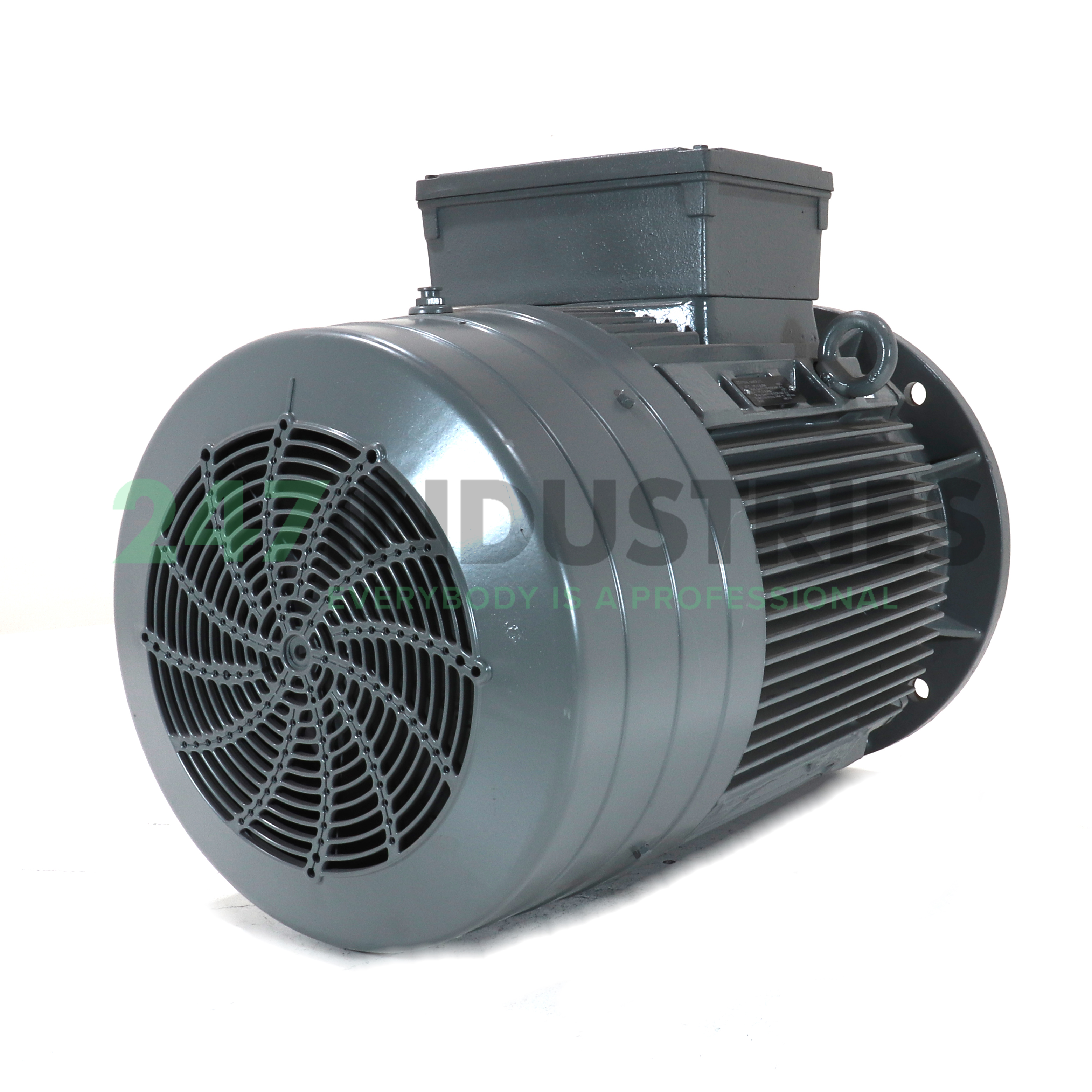 14BG207-6AA11-Z Lönne Image 3