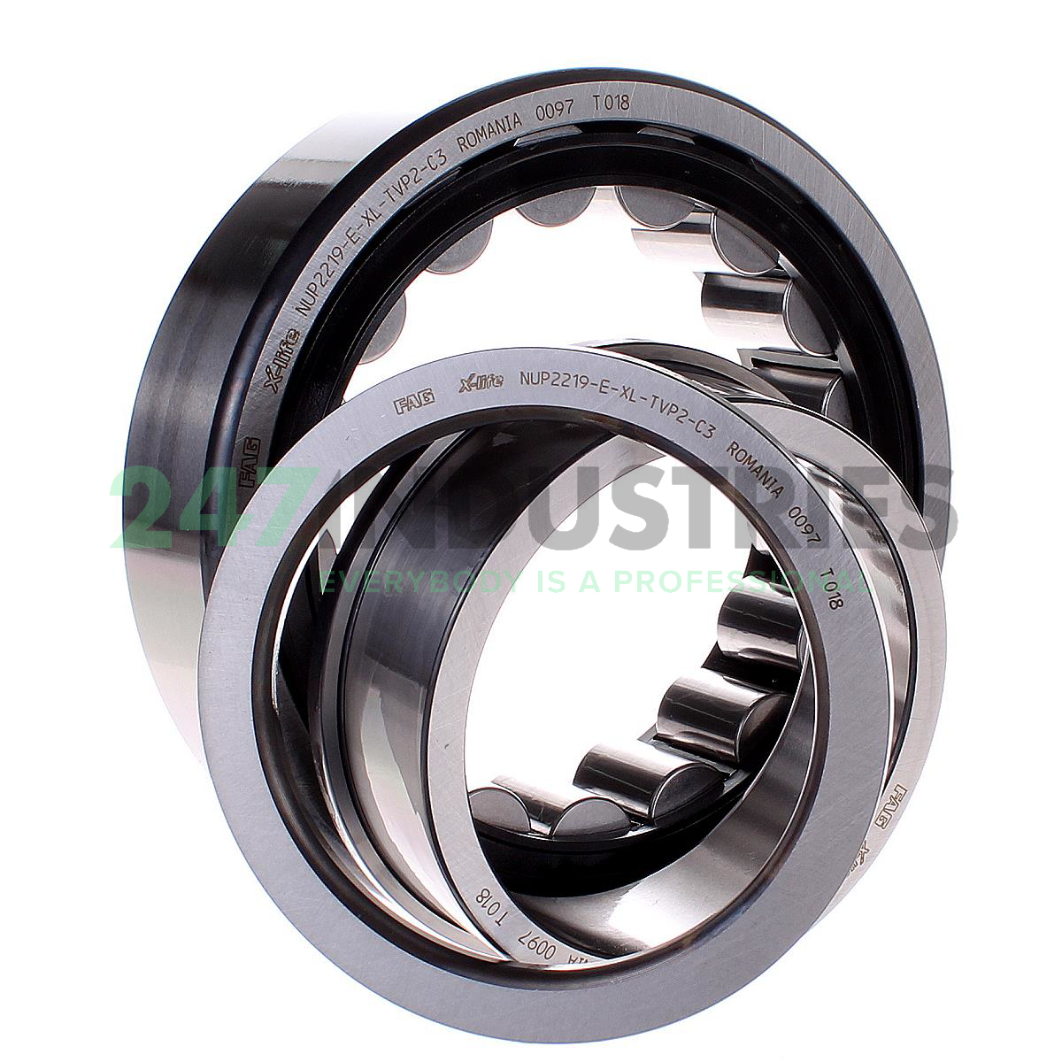 NUP2219-E-XL-TVP2-C3 FAG Image 2