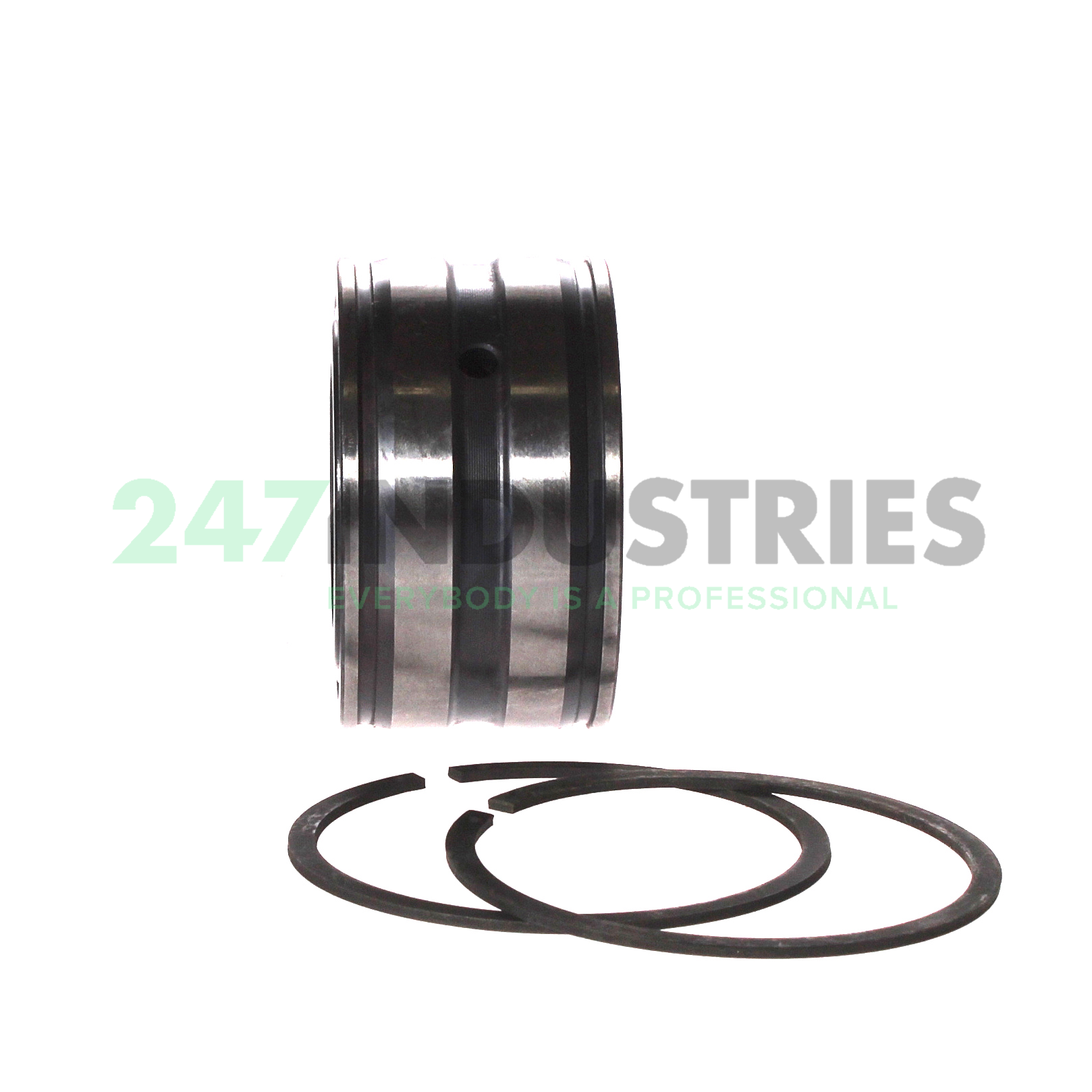 SL045007-PP-2NR INA Image 2