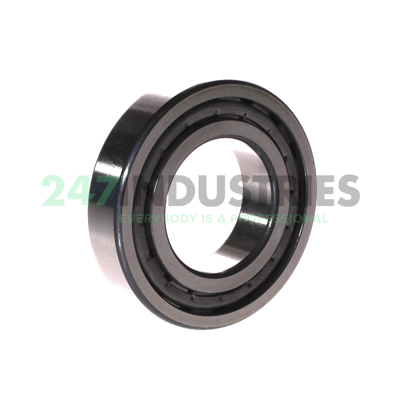 NJ209-E-XL-JP1 FAG Image 2