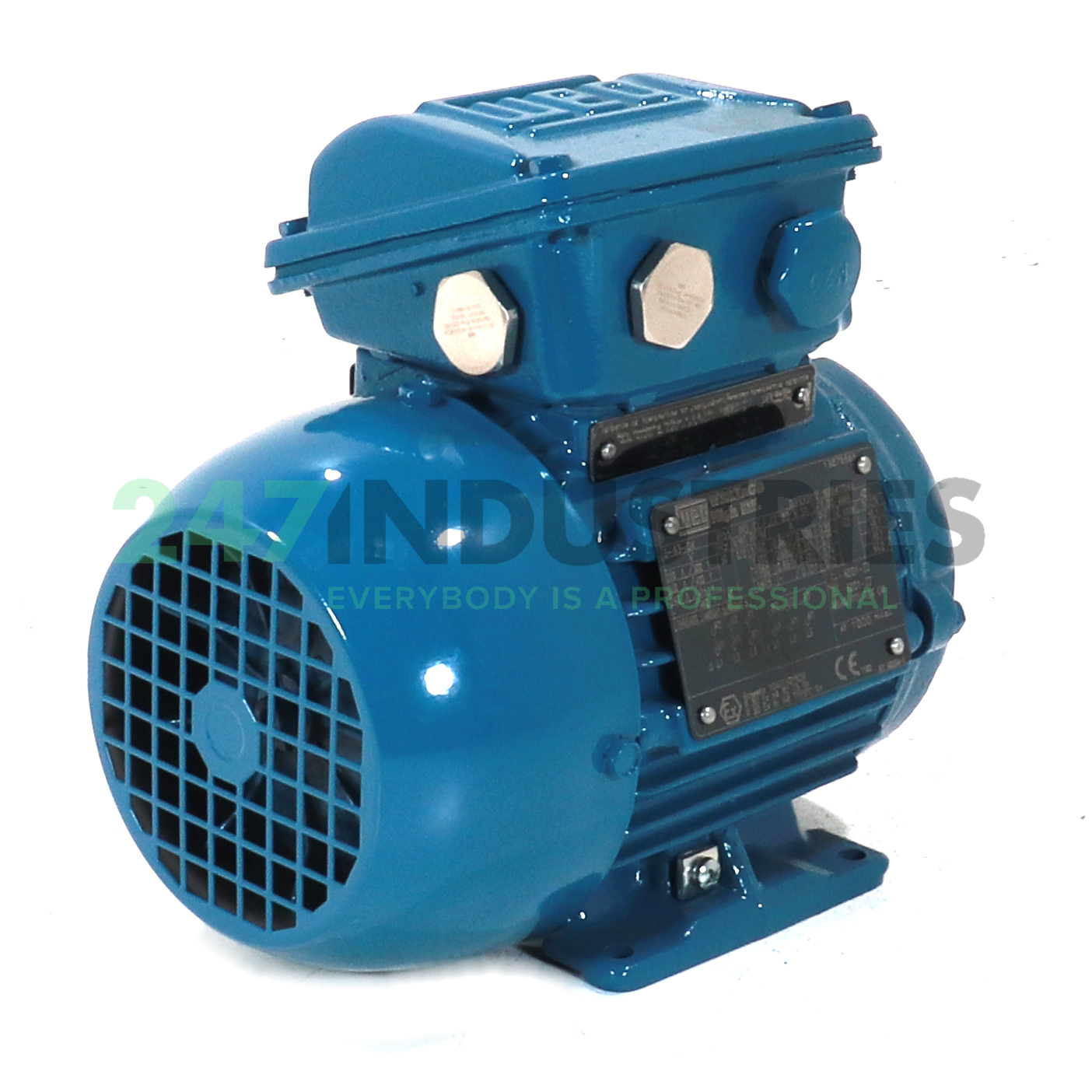 0.75K30CI2804B3 WEG Image 3