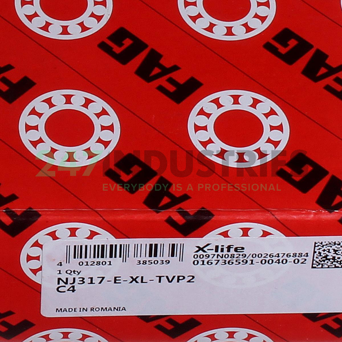 NJ317-E-XL-TVP2-C4 FAG Image 6