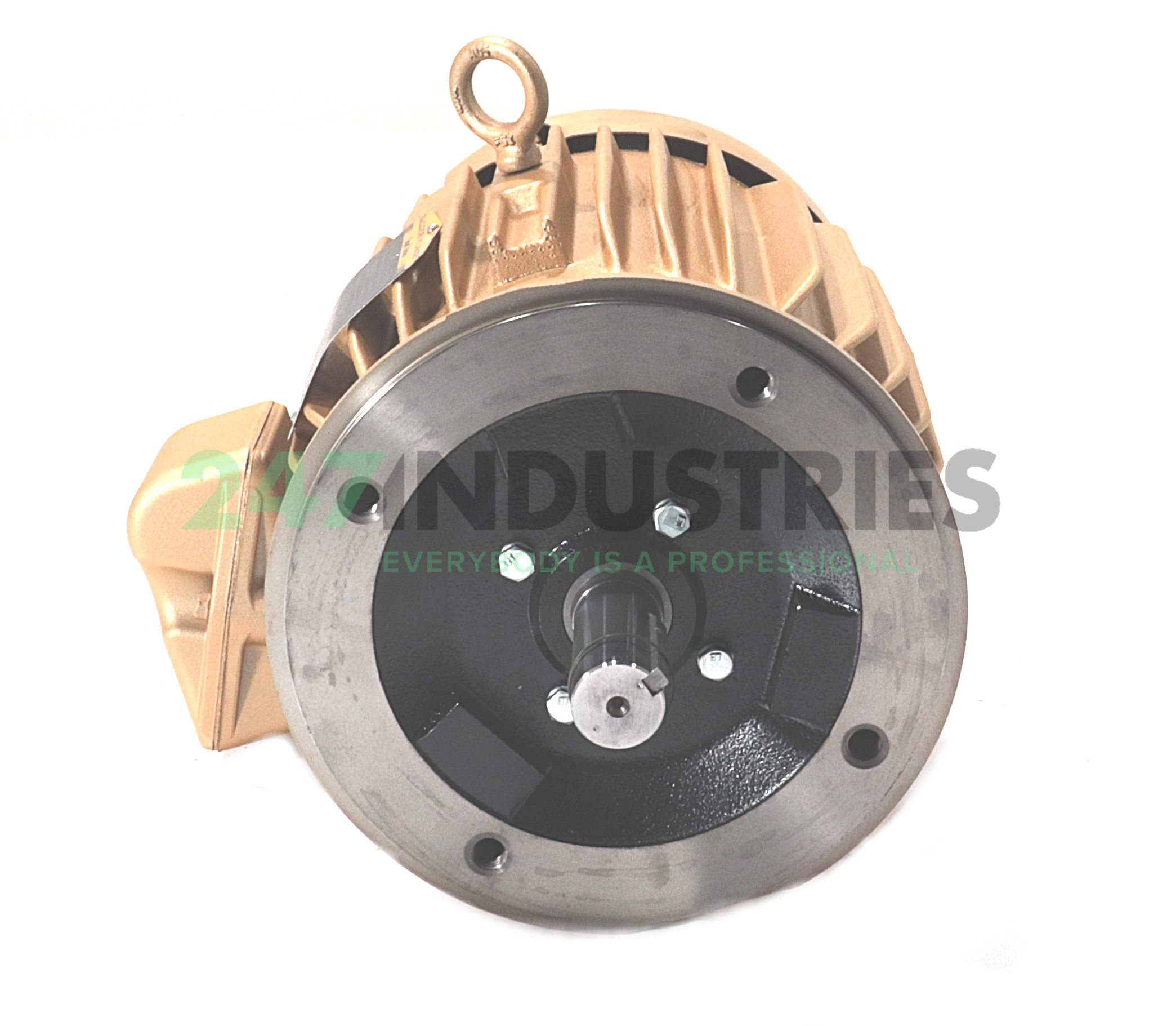 VEM3665T Baldor Image 2