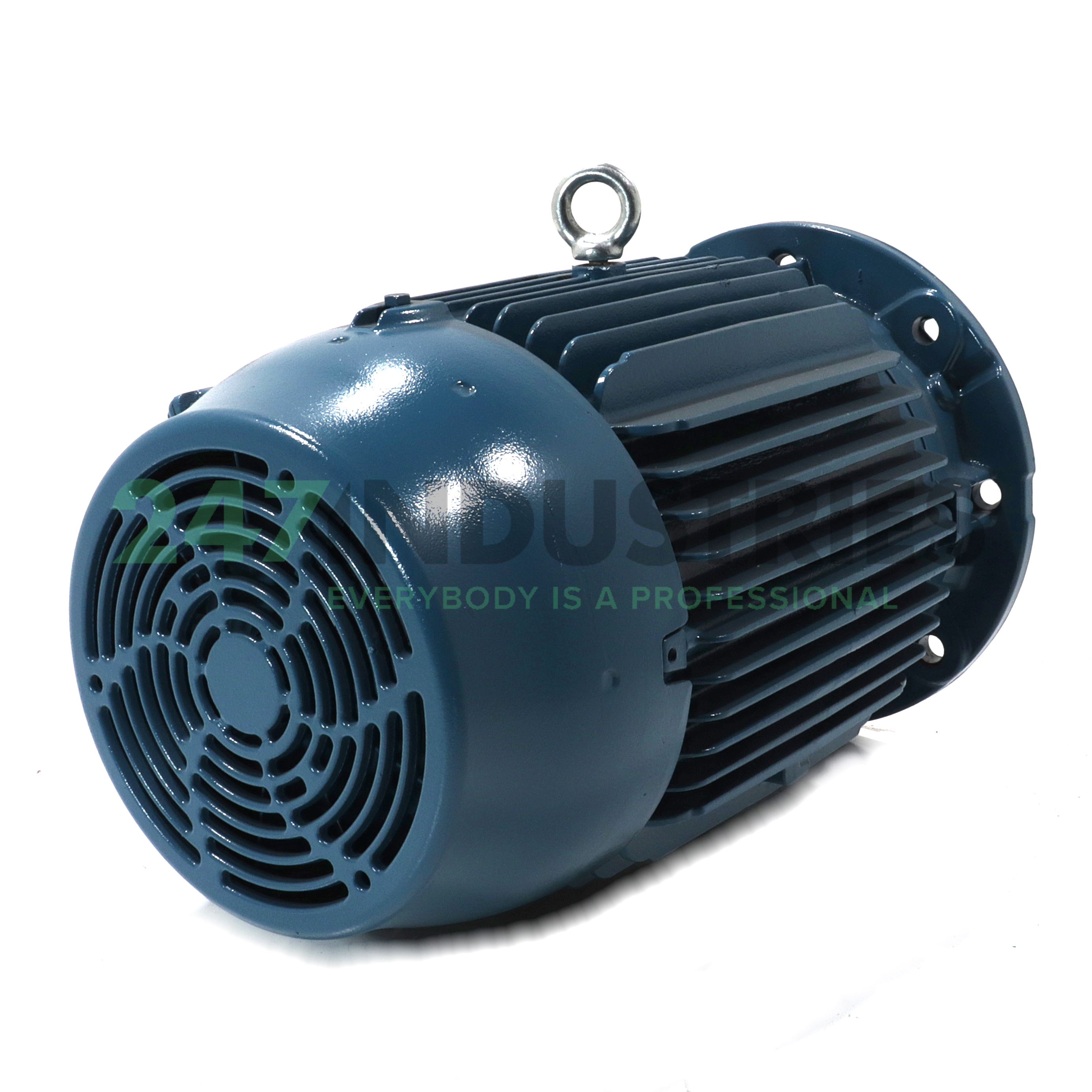 15K32CI2160L4B5 WEG Image 3