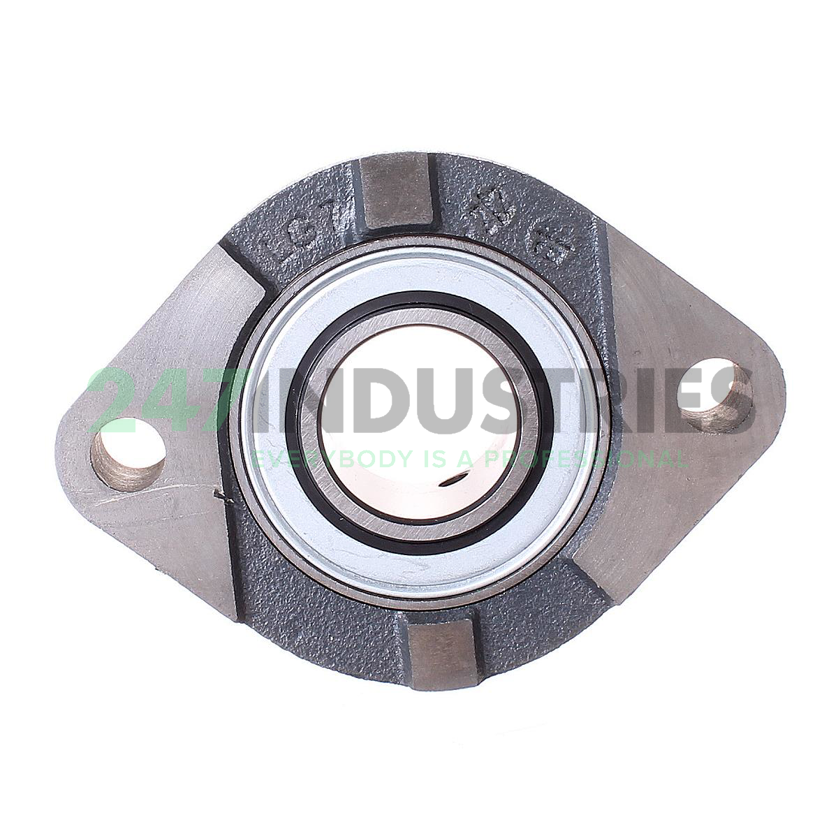 FLCTEY30-XL INA Image 2