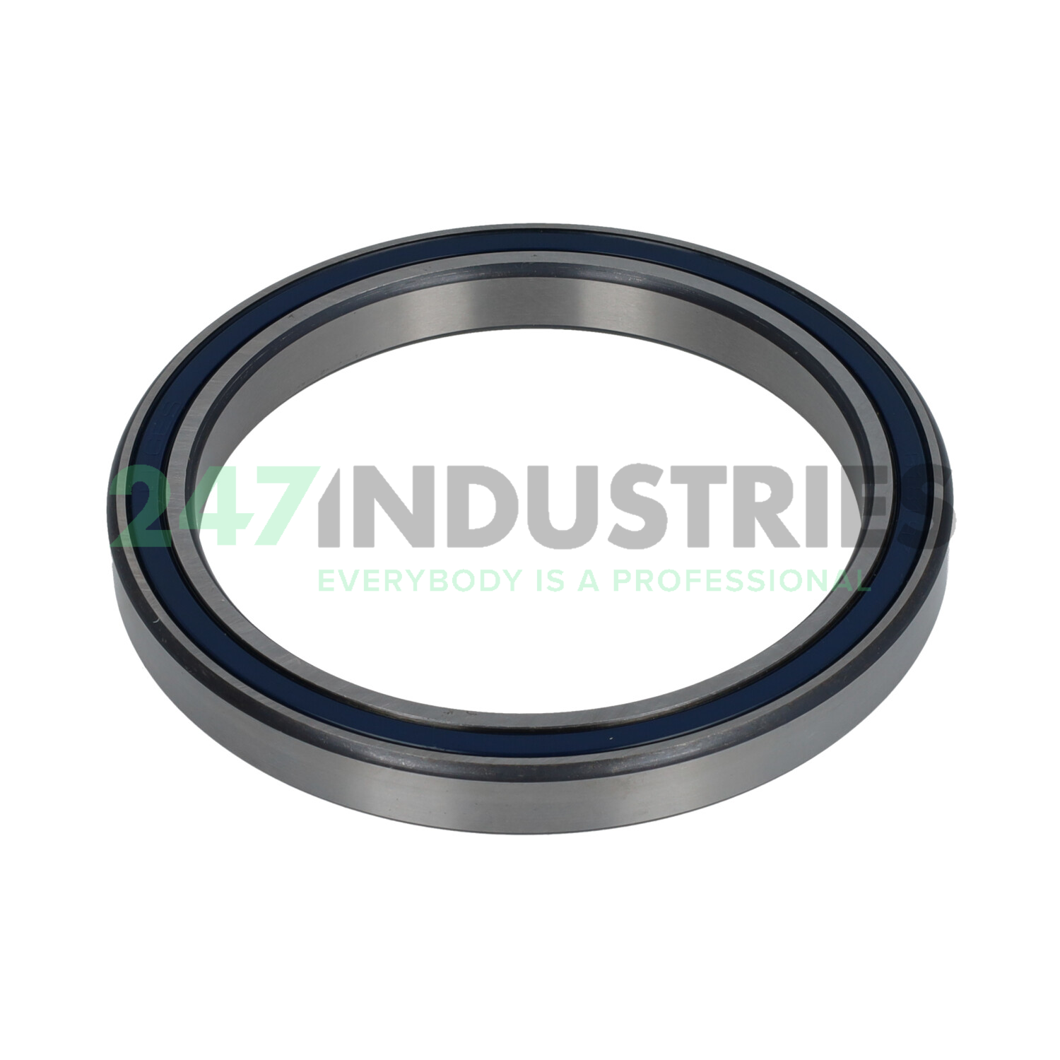 61819ZZ Elges Image 2