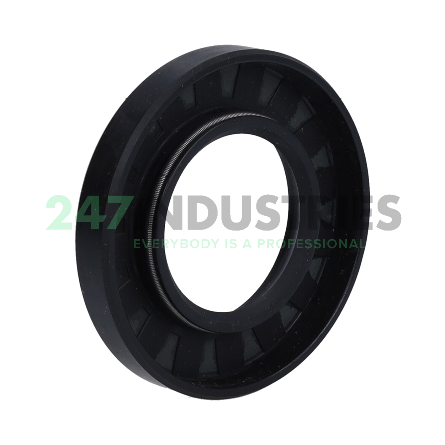 CR35X65X10HMS4R Chicago Rawhide Ltd Image 2