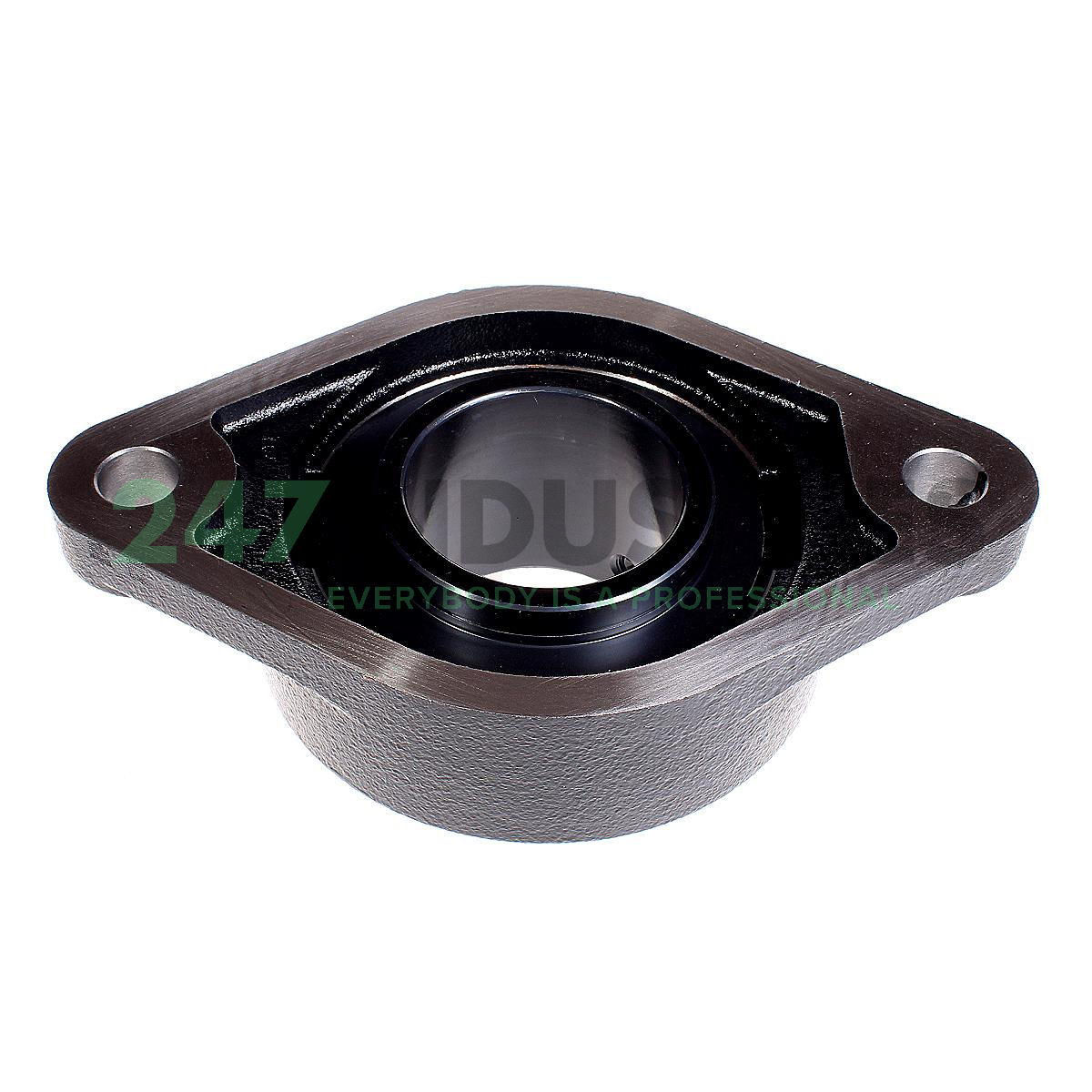 UCFL217-J7 FAG Image 3