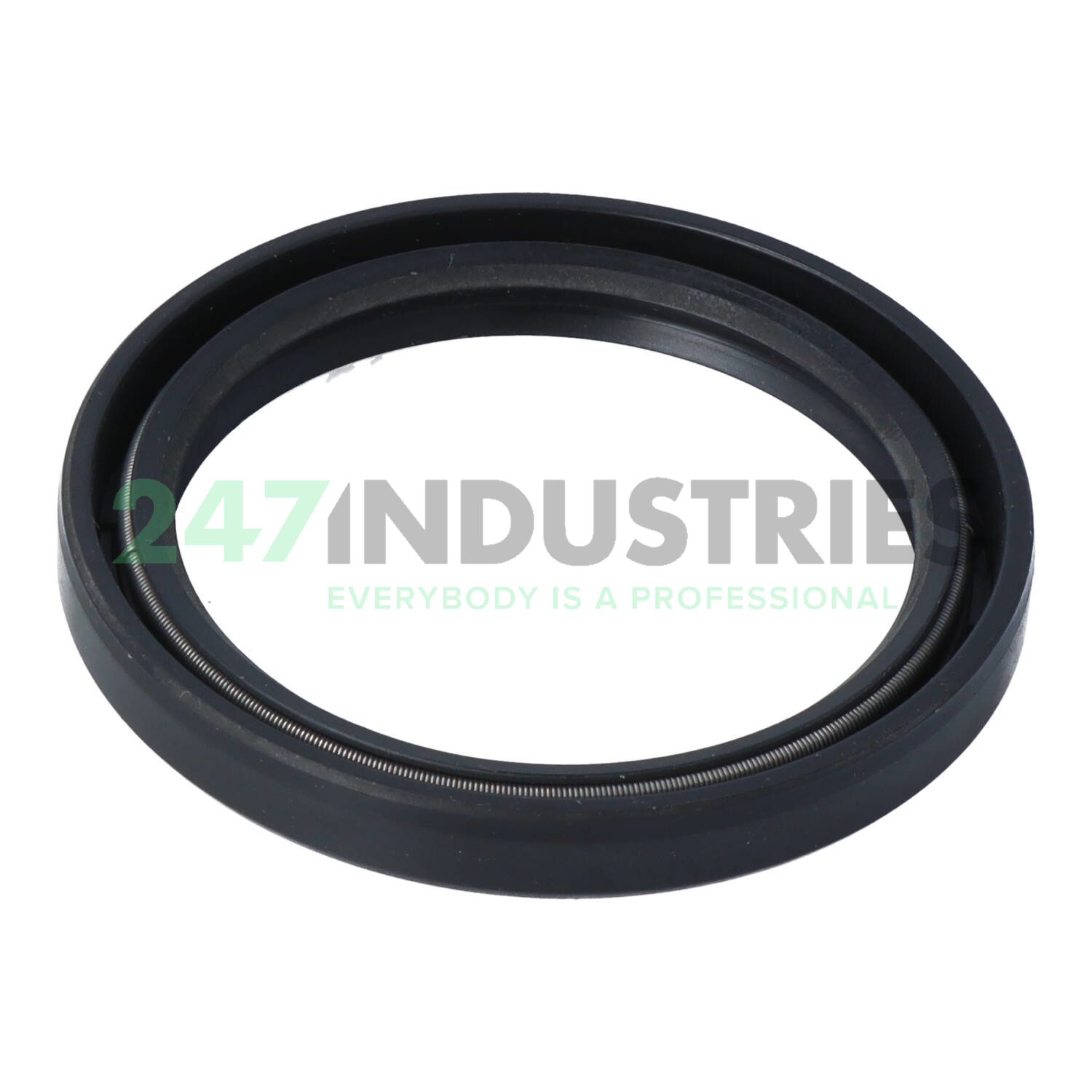 TC46X58X7 TTO Oil seals Image 2