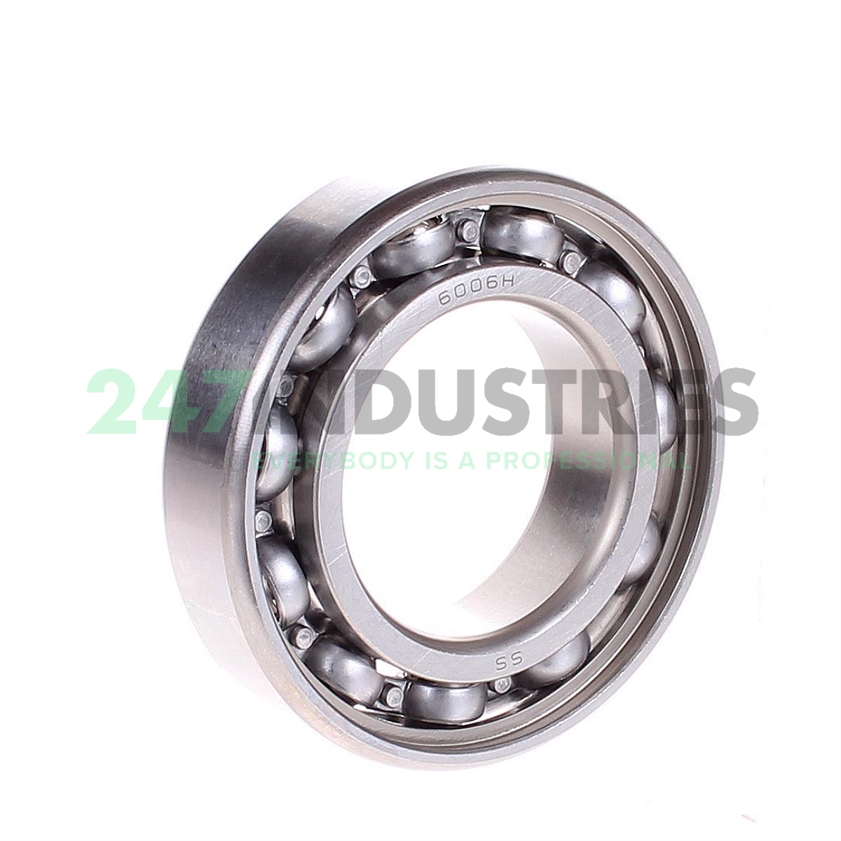 W6006 SKF