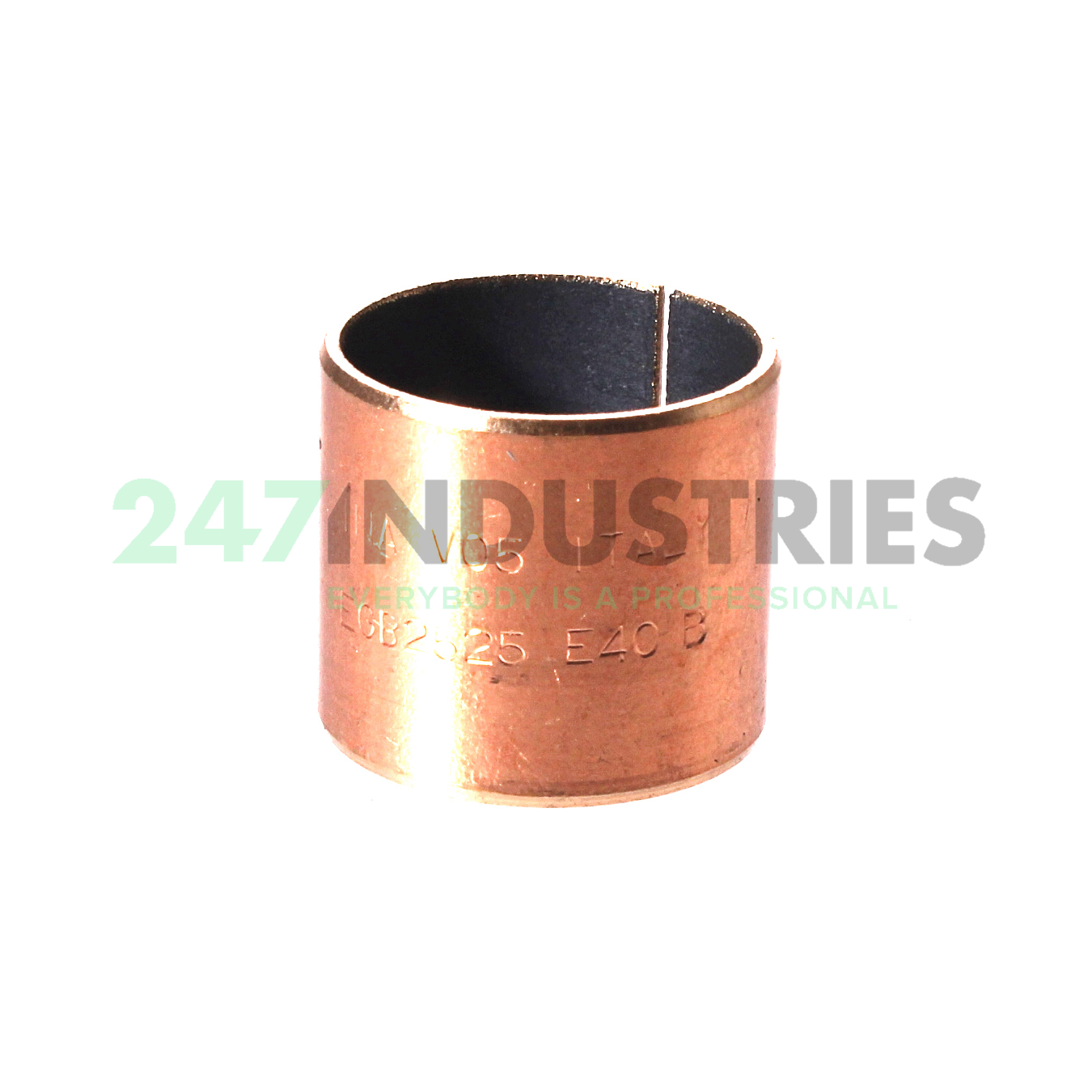 EGB2525-E40-B-Y INA