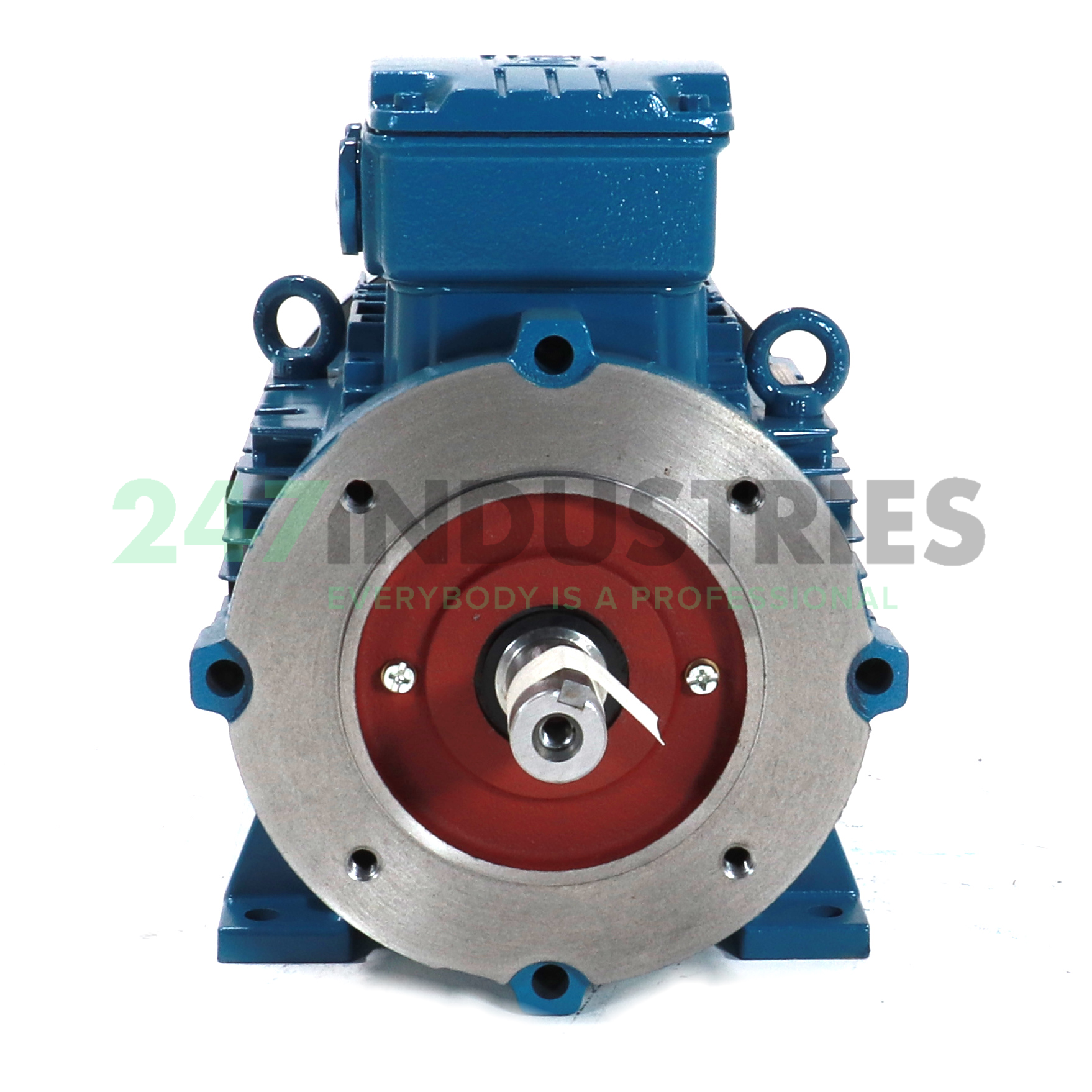 4K32AL3112M2B34 WEG Image 2