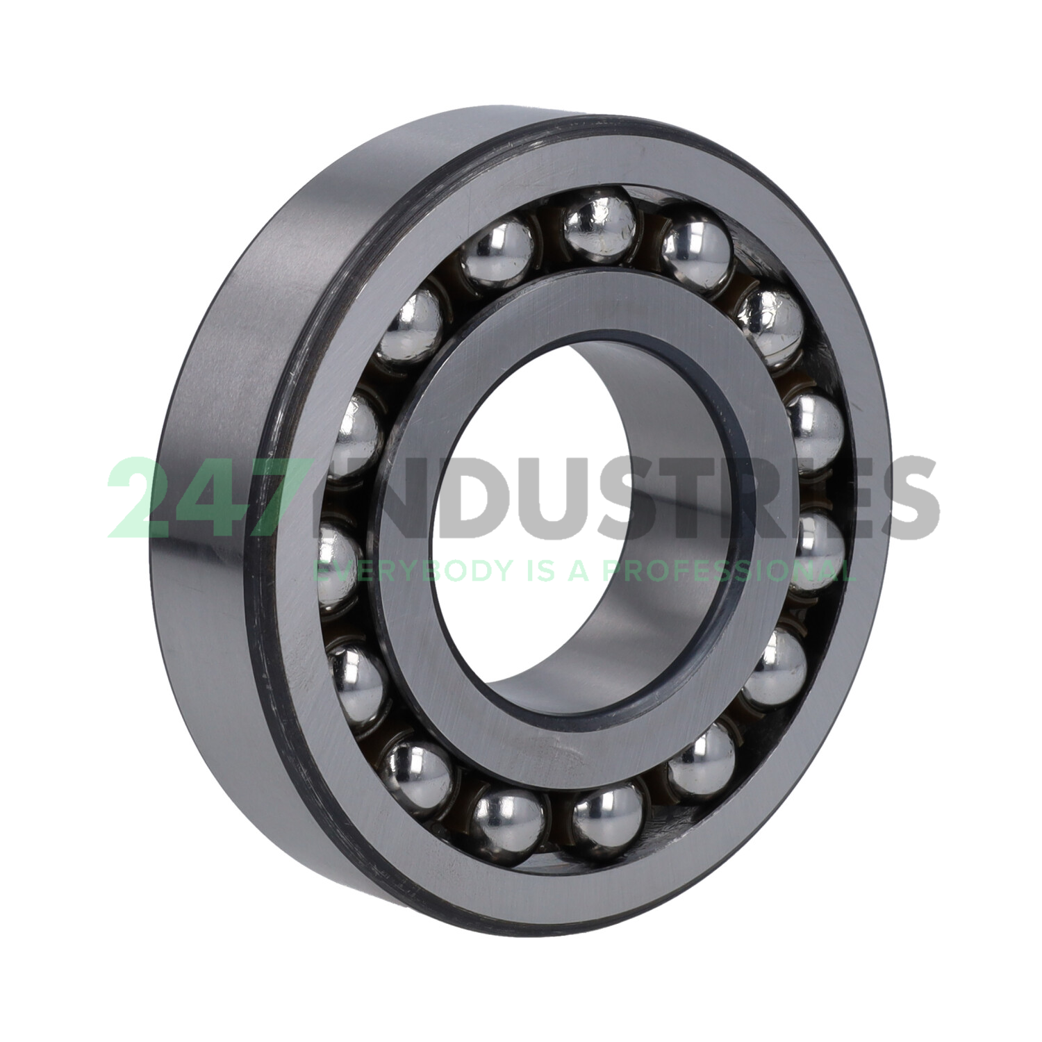 1309G15 SNR Image 2