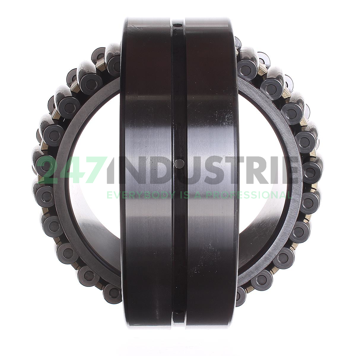 24030CAME4C3S11 NSK Image 4