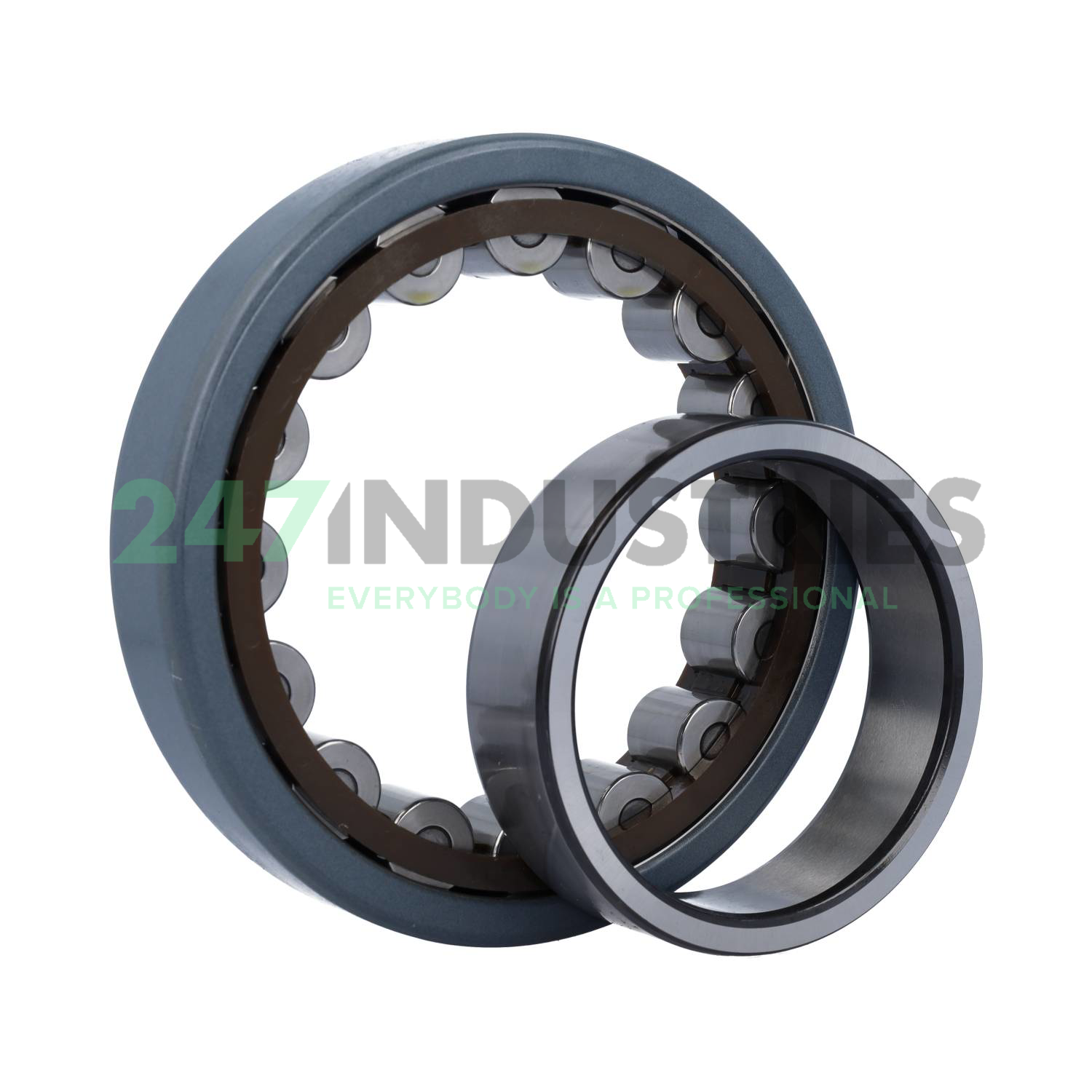 BX-NU221ECP/C3VL0241 SKF Image 4