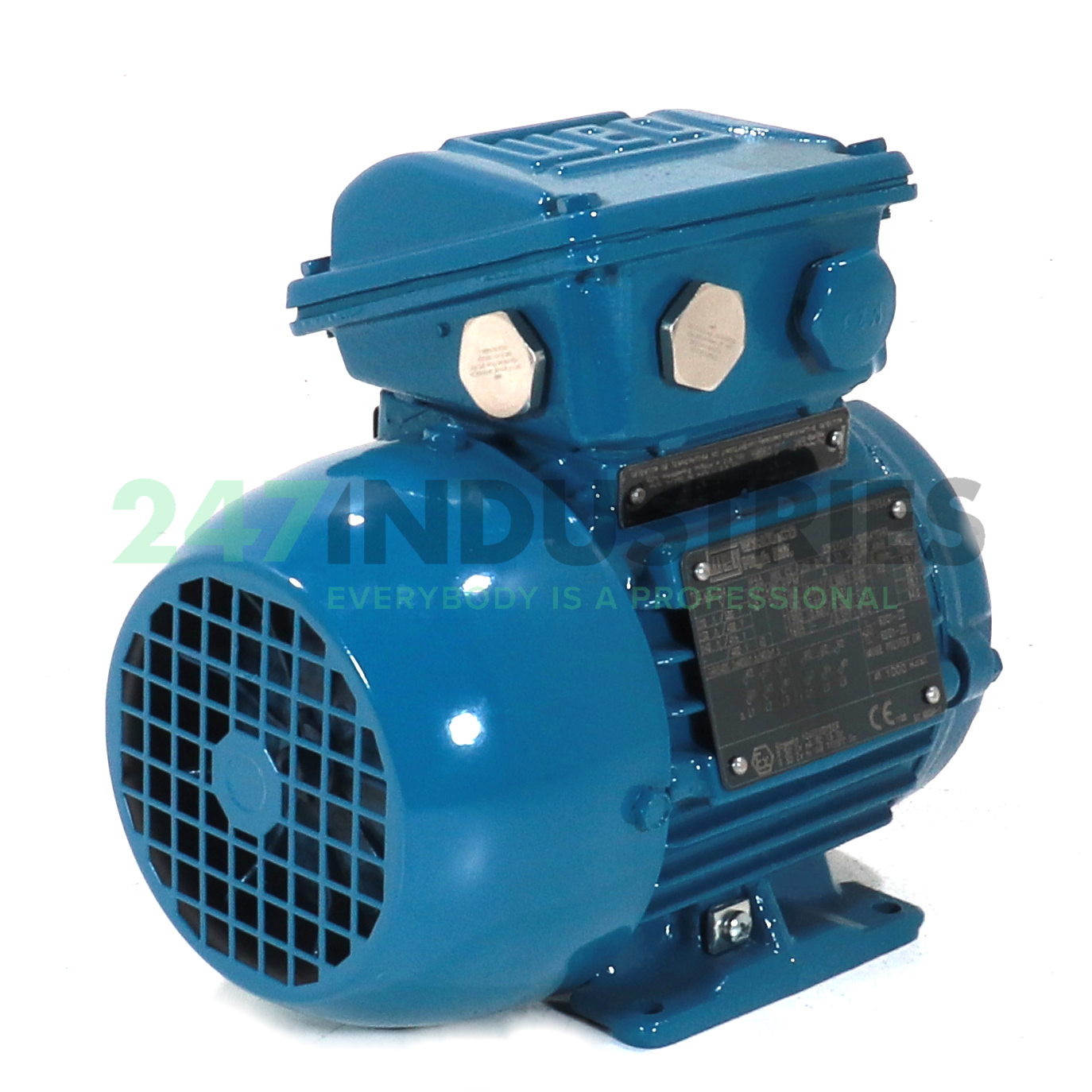 0.75K30CI2802B3 WEG Image 3