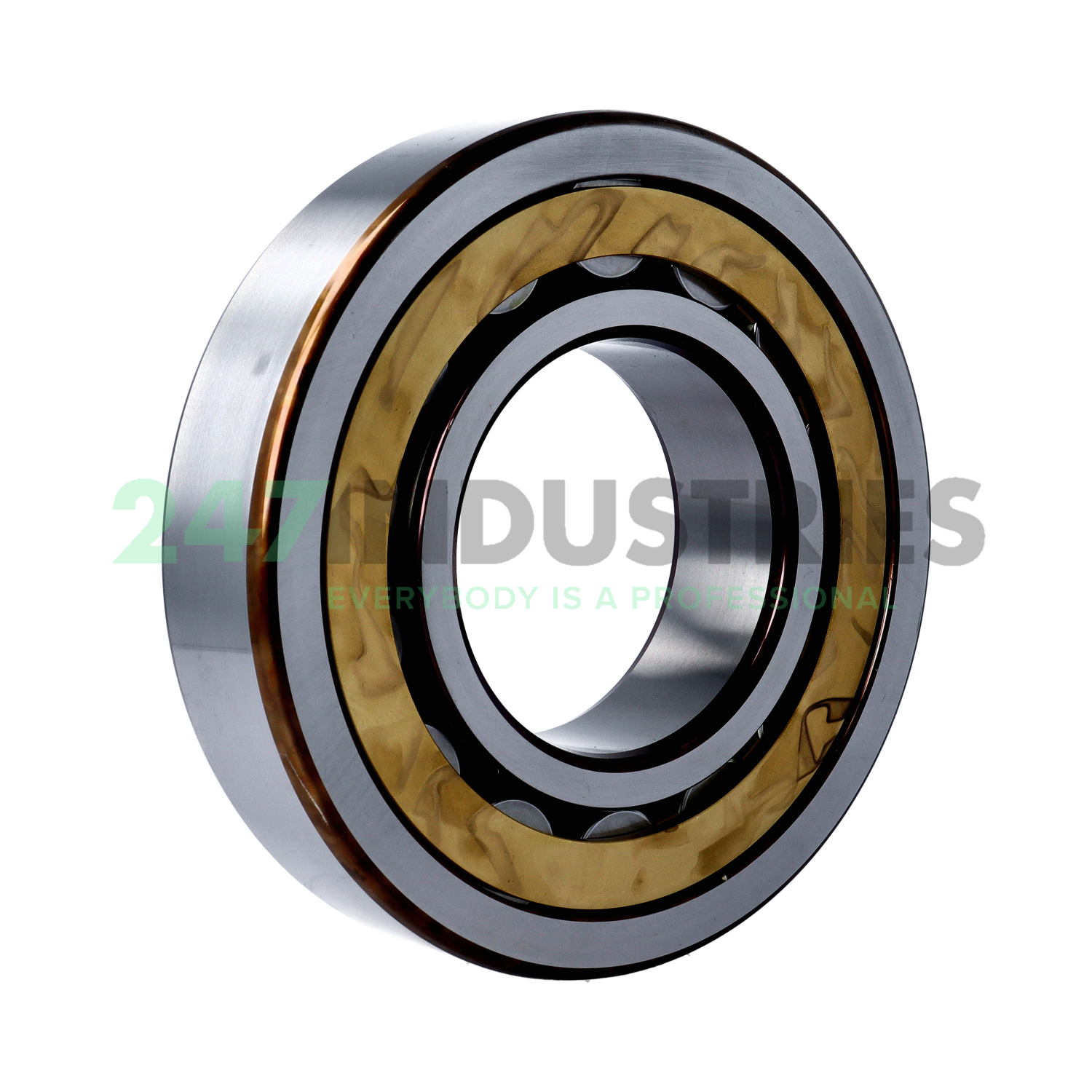 NU319ECM SKF Image 2