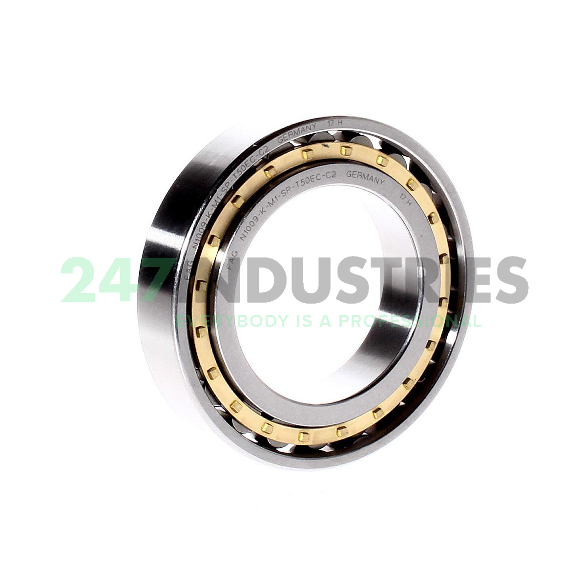 N1009-K-M1-SP-T50EC-C2 FAG Image 3