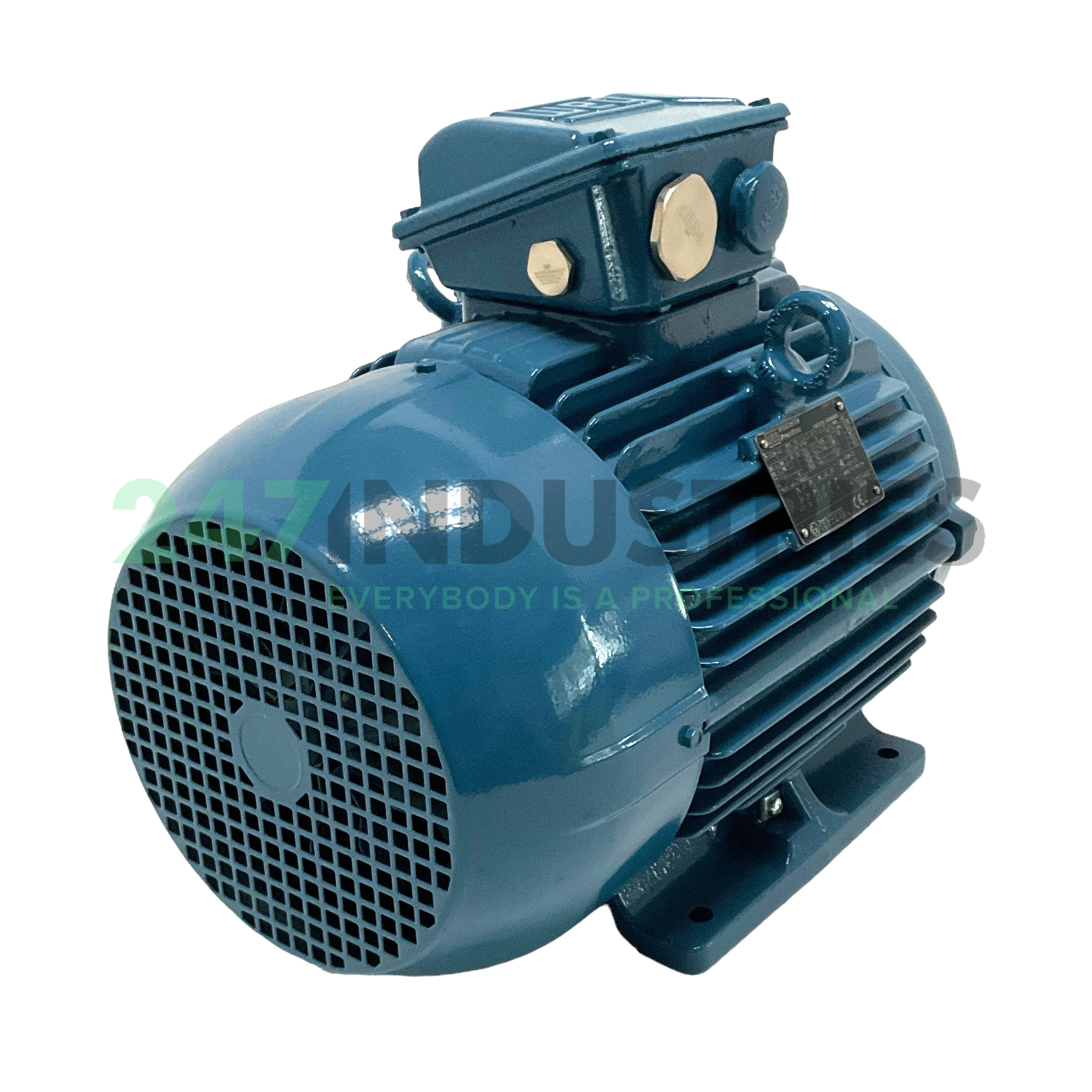 9.2K32CI3132M2B3 WEG Image 3