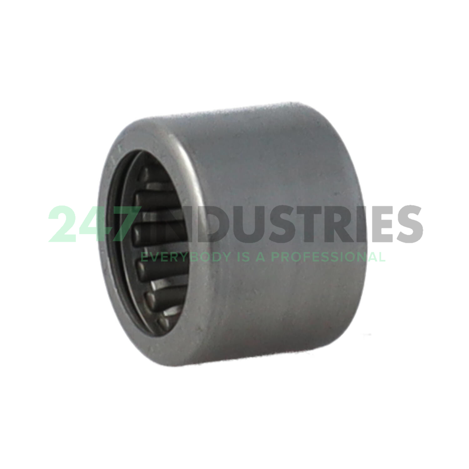 HK1516 SKF