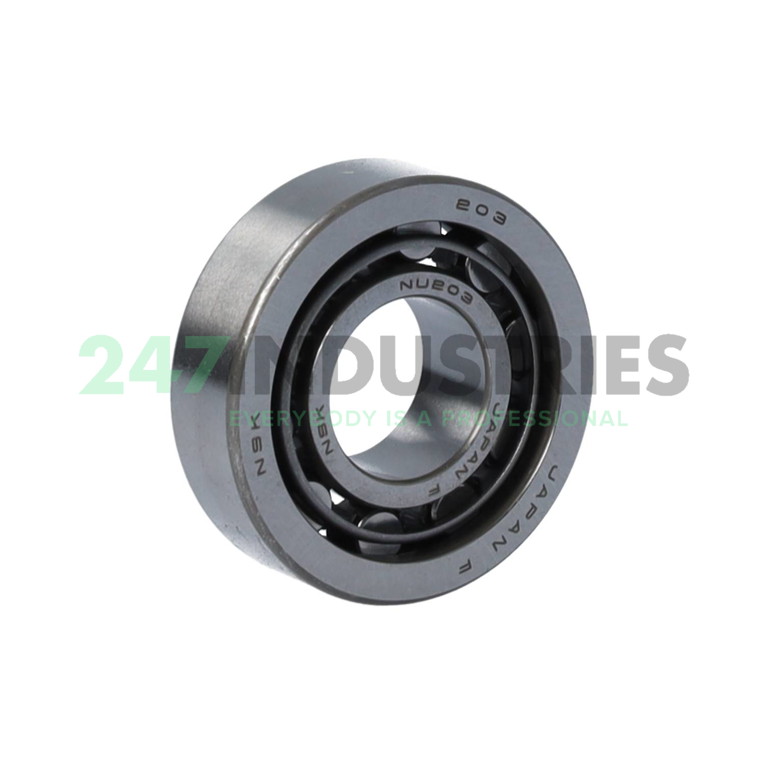 NU203W NSK Image 1