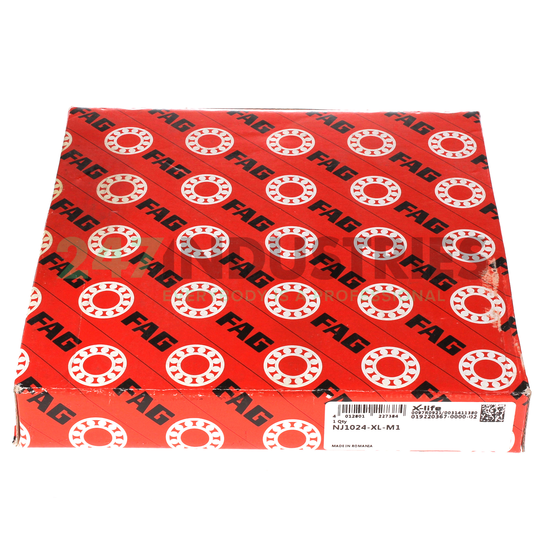 NJ1024-XL-M1 FAG Image 2