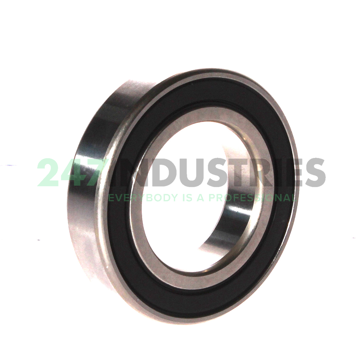 W6007-2RS1 SKF Image 2