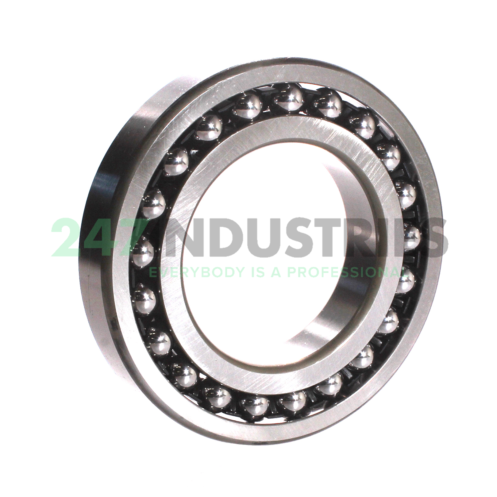 1217 NSK Image 2
