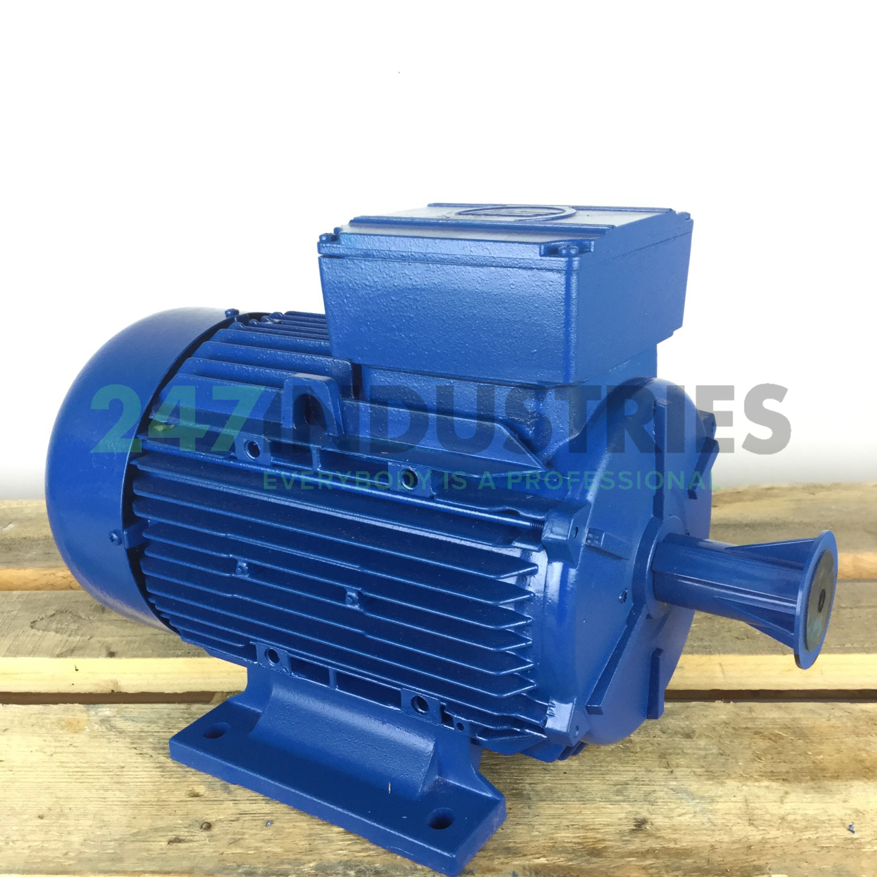 A4C1132A00016 Marelli Motori Image 3