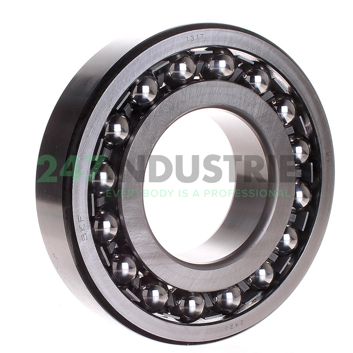 1317 SKF