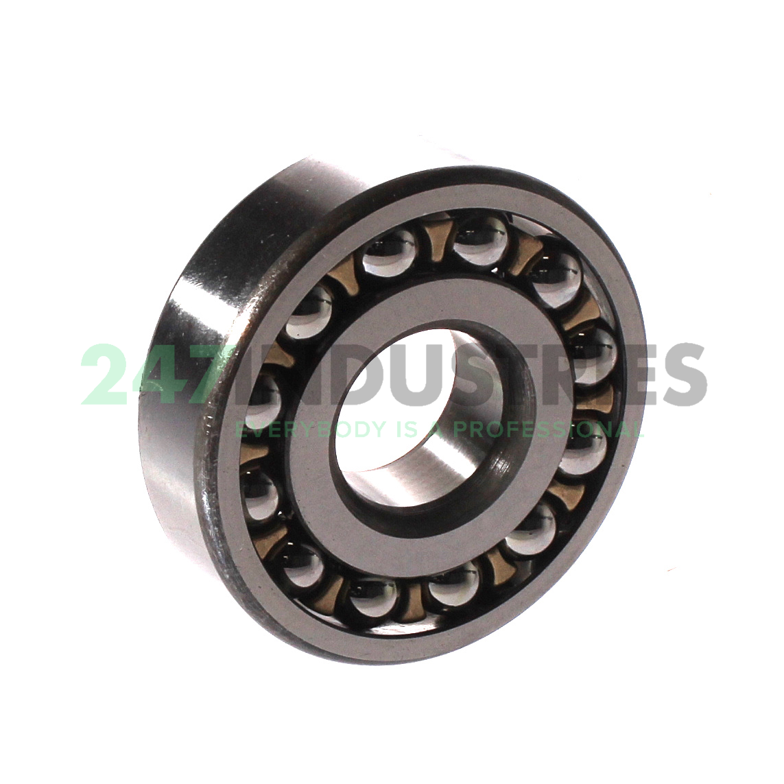 1303EM/P62 SKF Image 3