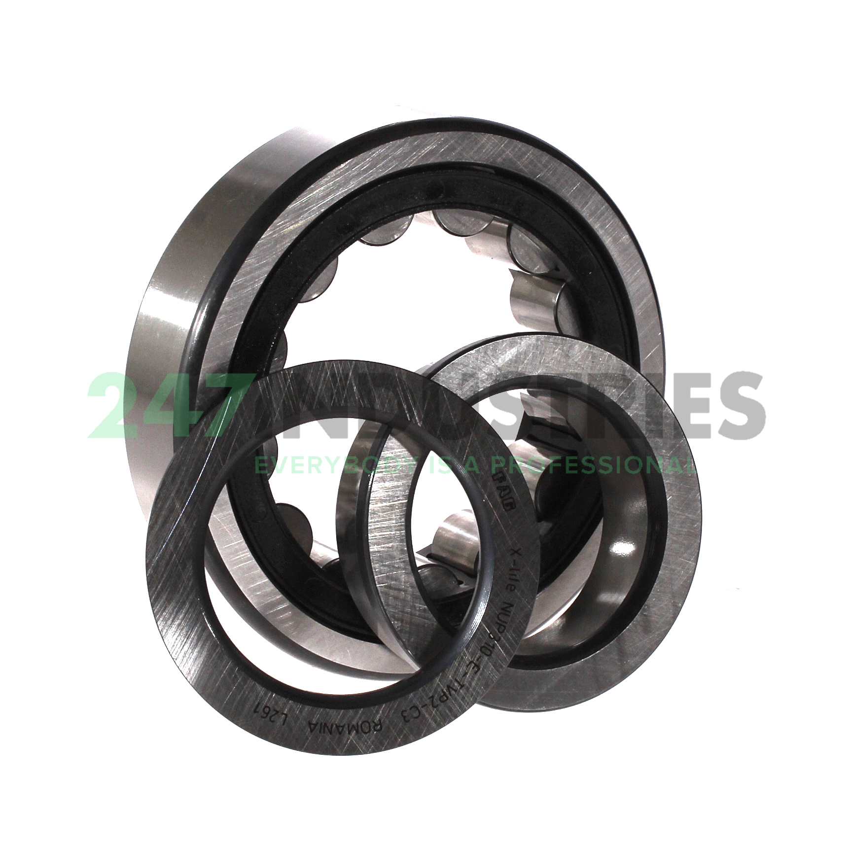 NUP310-E-TVP2-C3 FAG Image 3