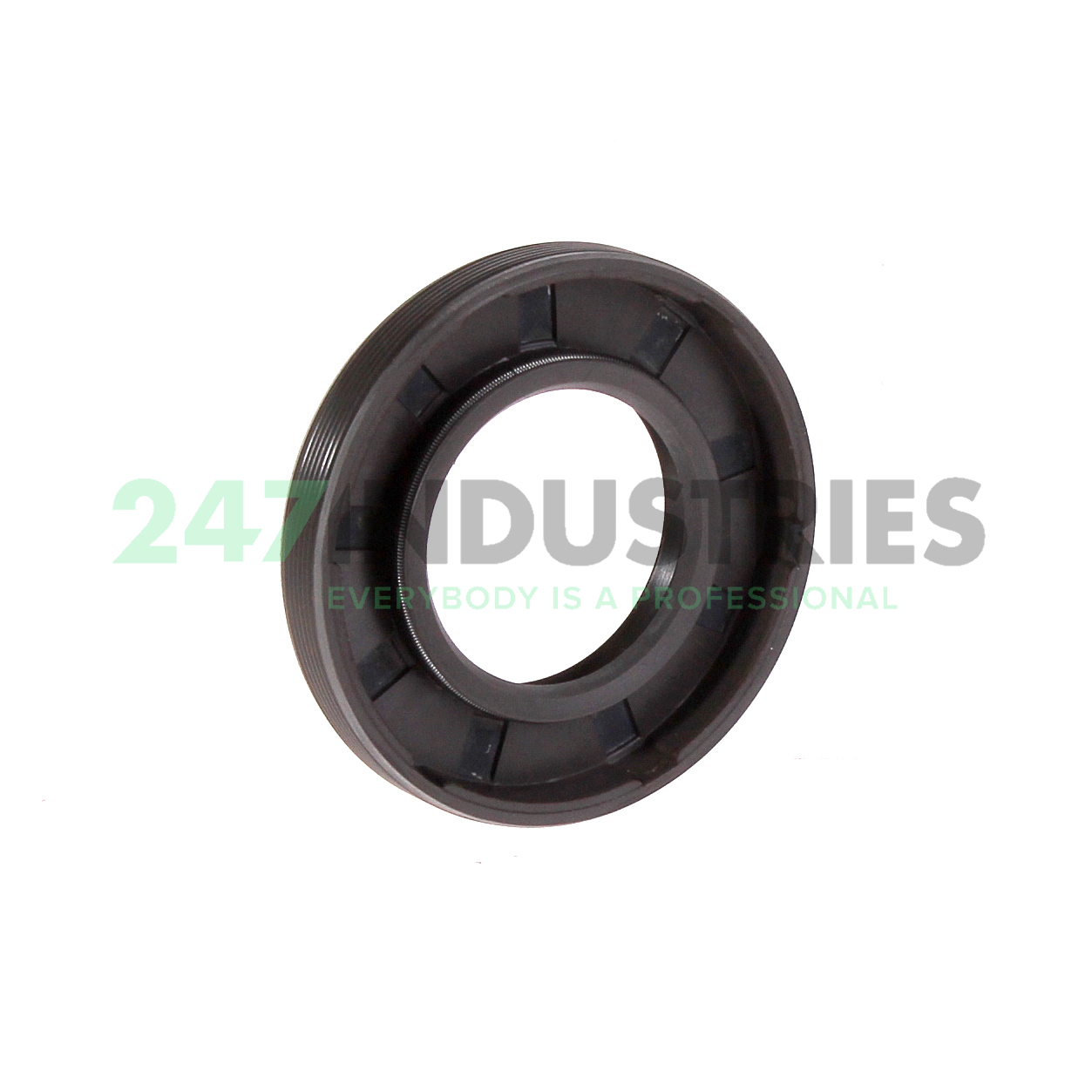 25X45X7HMSA10RG SKF Image 2