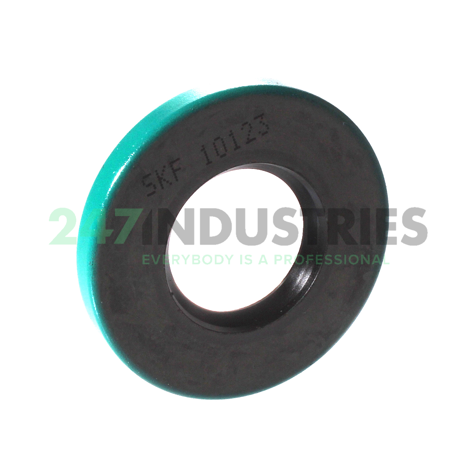 10123 SKF Image 1
