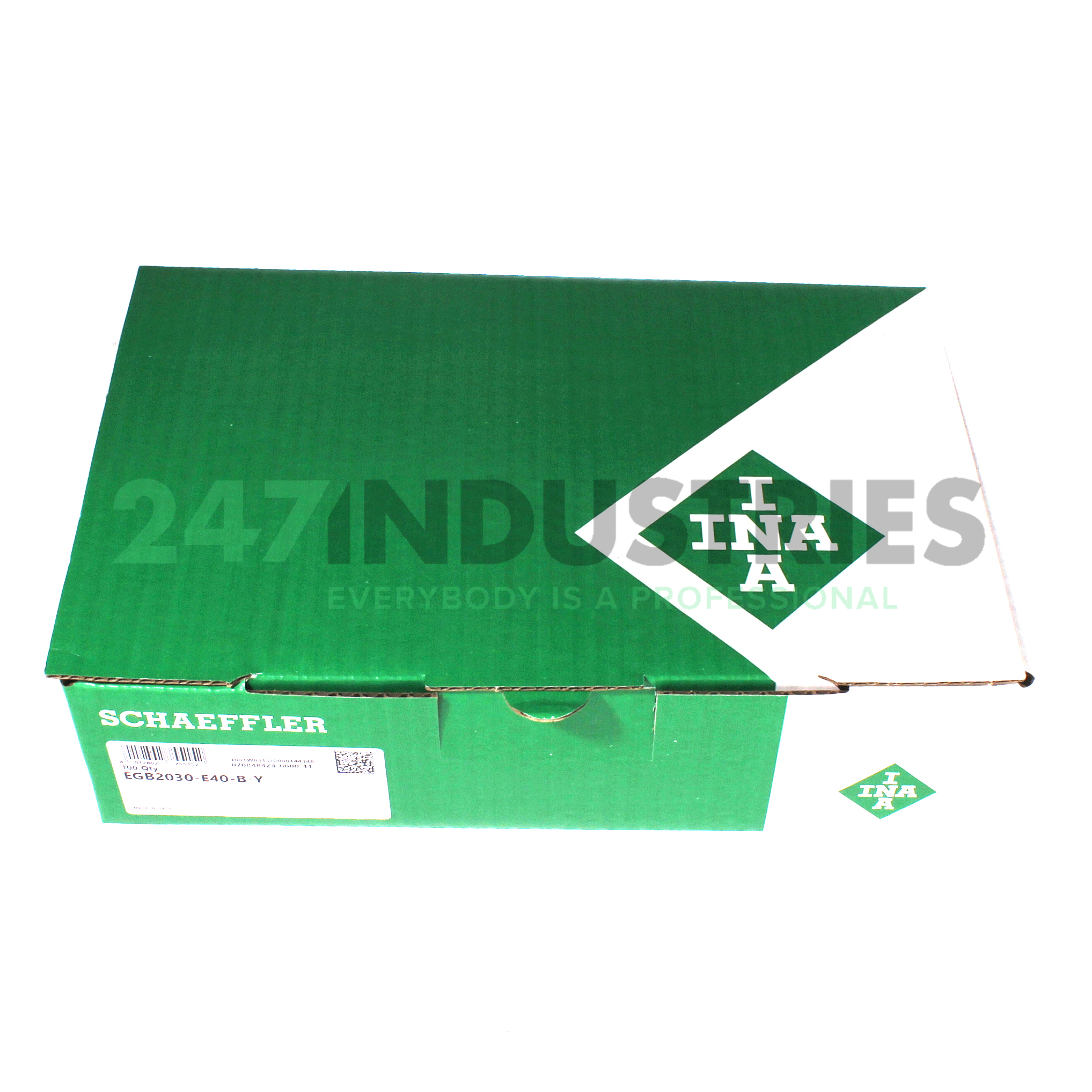 EGB2030-E40-B-Y INA Image 3