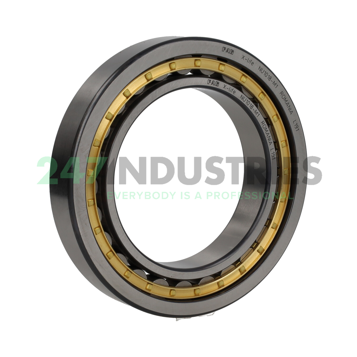 NU1018-M1 FAG Image 2