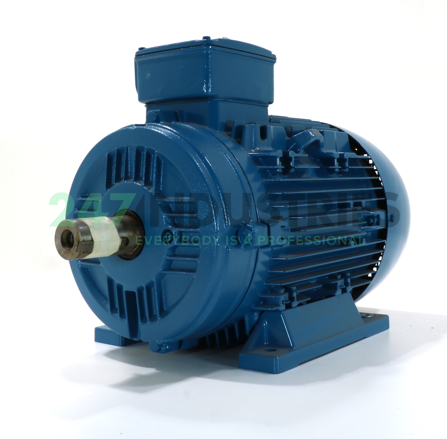 15K32AL3160M/L2B3 WEG