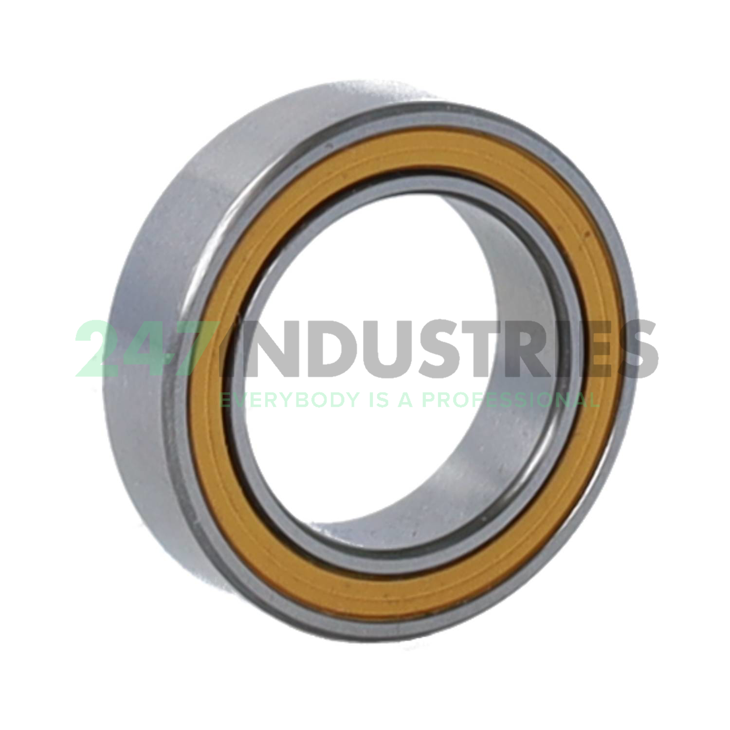 3803 2RS INA Image 2