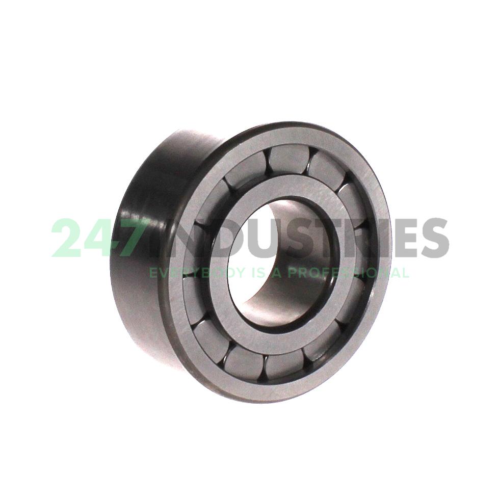 SL192308-C3 INA Image 2