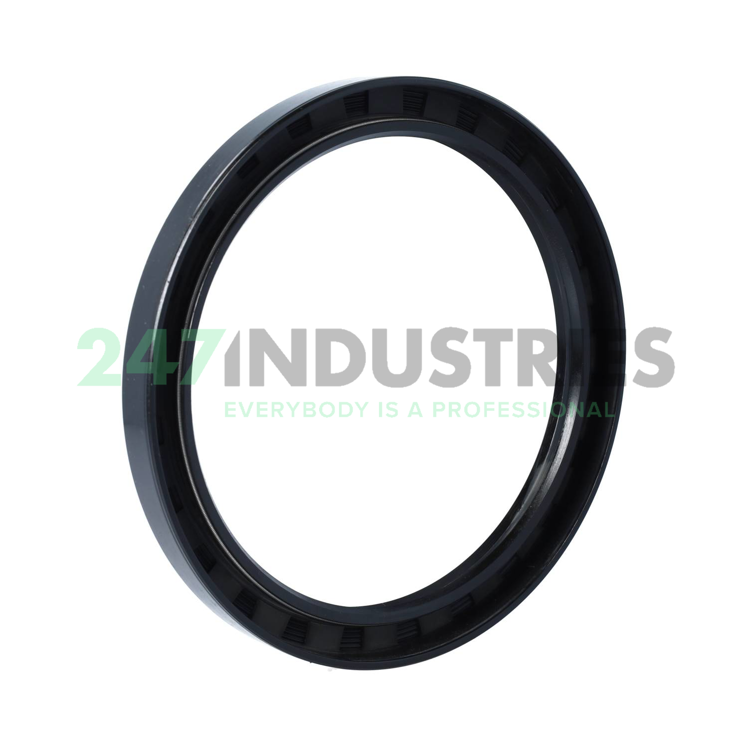 TC135X165X15 SOG Image 2