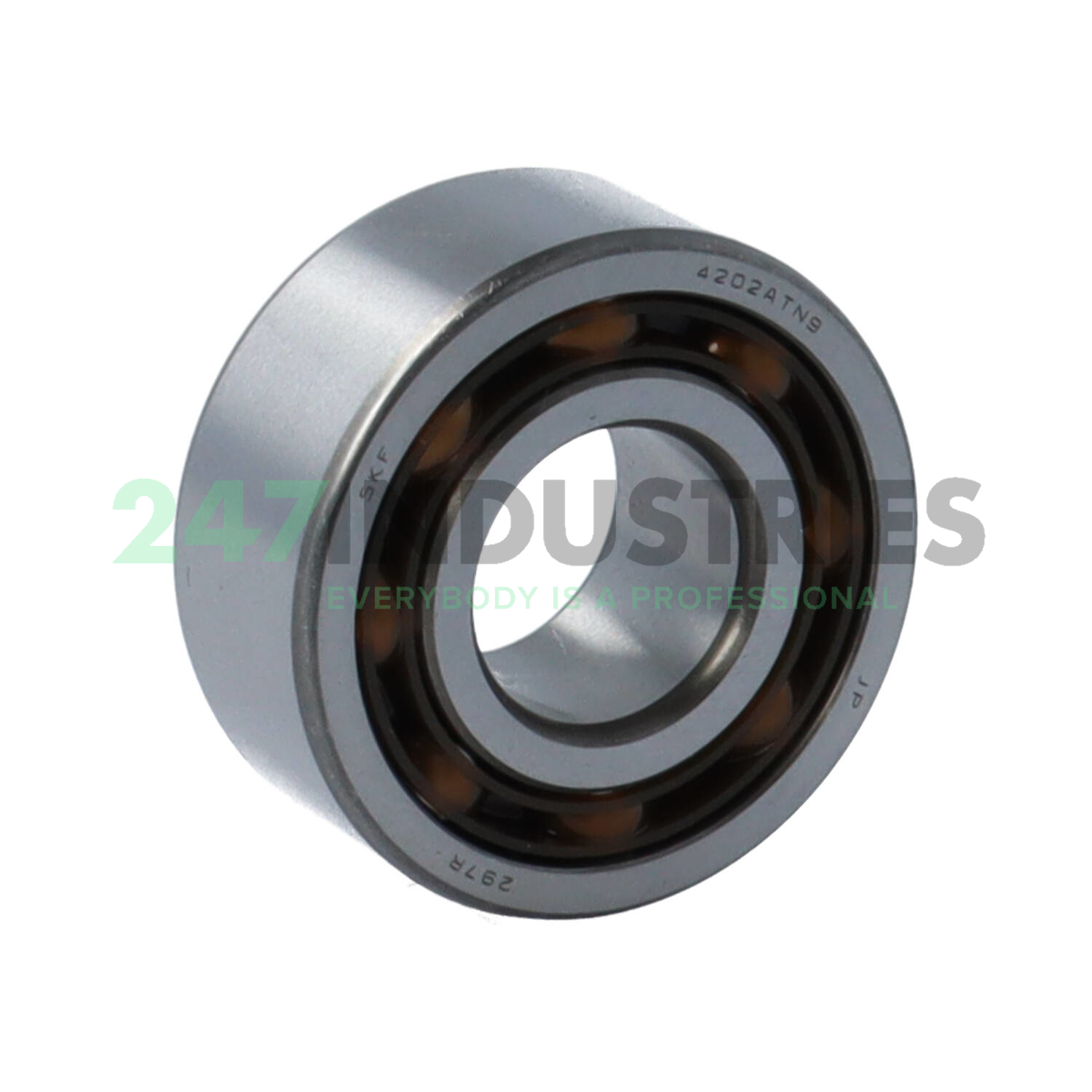 4202ATN9 SKF Image 1