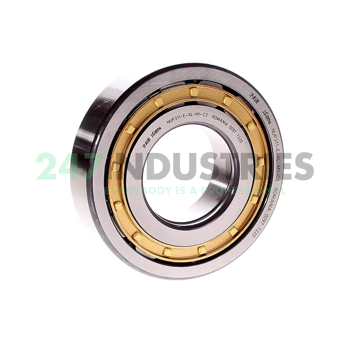 NUP311-E-XL-M1-C3 FAG
