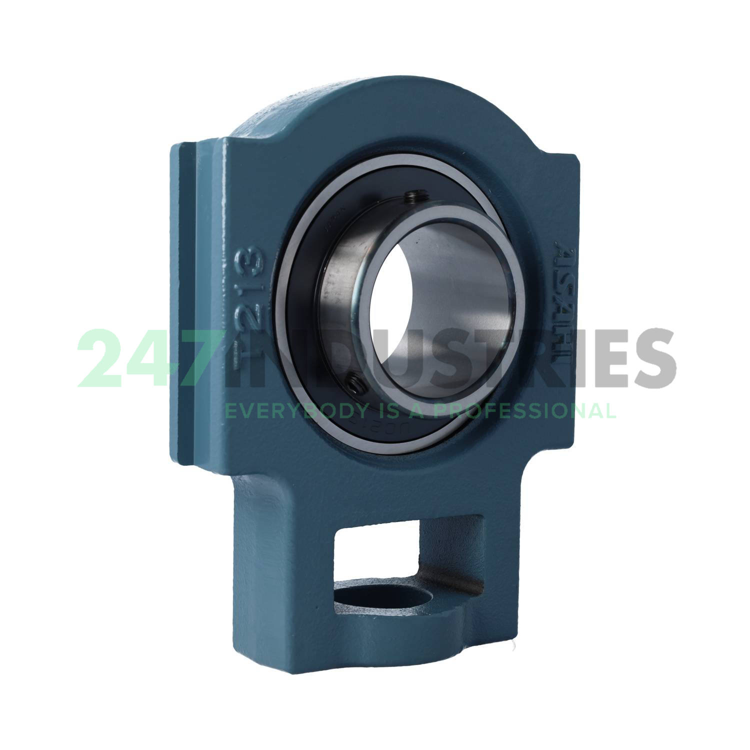 UCT213 Asahi Image 2