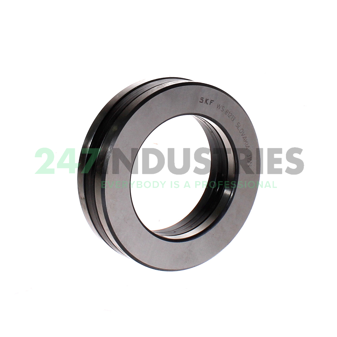 81213TN SKF Image 1