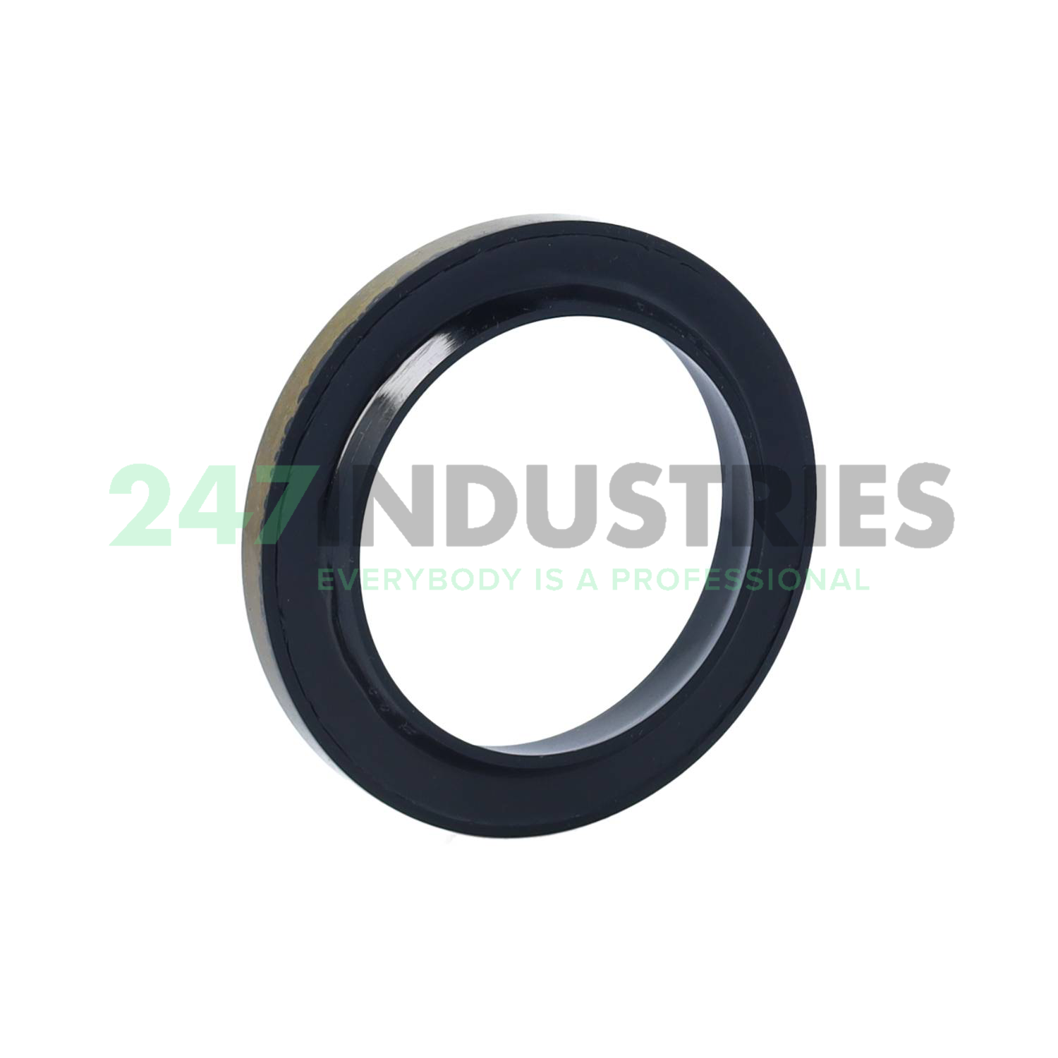 AS 50X70X7 Freudenberg Image 2